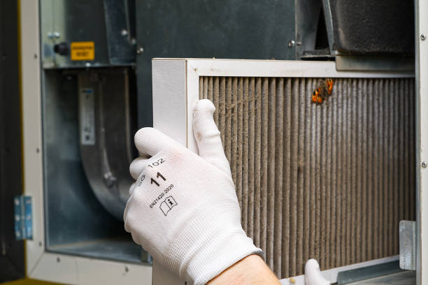 Air Duct Mold Removal in ME